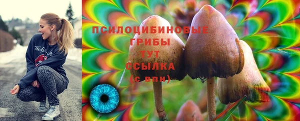 МДПВ Бородино