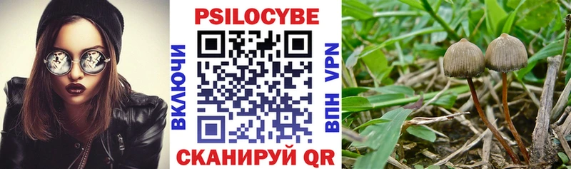 Псилоцибиновые грибы прущие грибы  Игарка 