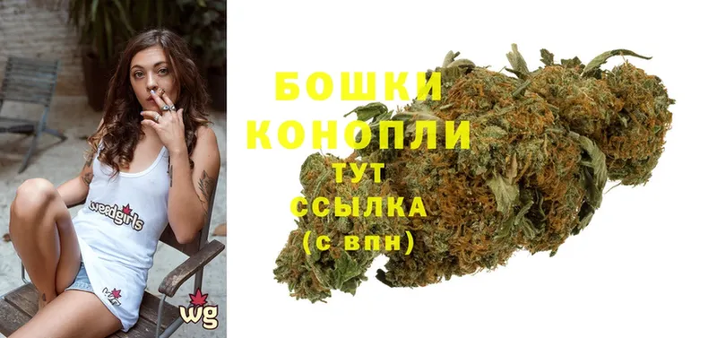 Конопля THC 21%  hydra ссылки  Игарка 